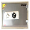 Hayman Safes Fire and Burglary Safe HAYMAN Flame Vault 1 & 2-hour Record Safe Model: FV-132C