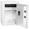 Hollon Safes Business Safes HOLLON 2-Hour Home Safe - Choice of Lock